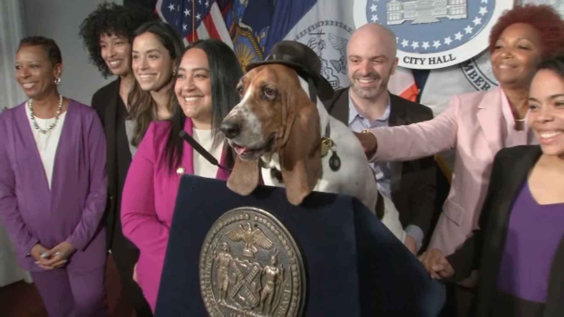 Sally Long Dog is 1st female honorary dog mayor of NYC