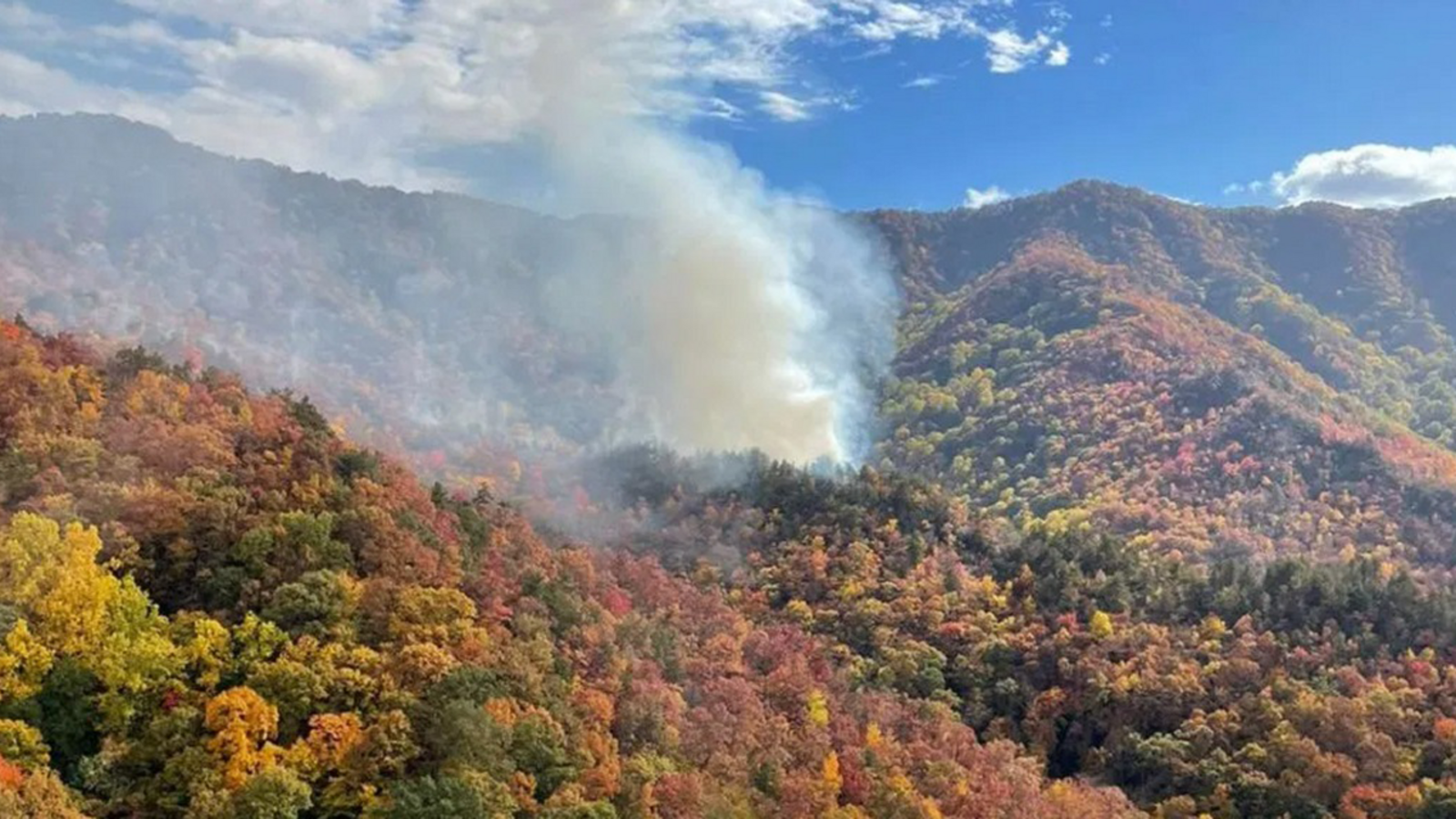 Collett Ridge Fire slowly grows to 61 acres, moving westward - ABC11 ...