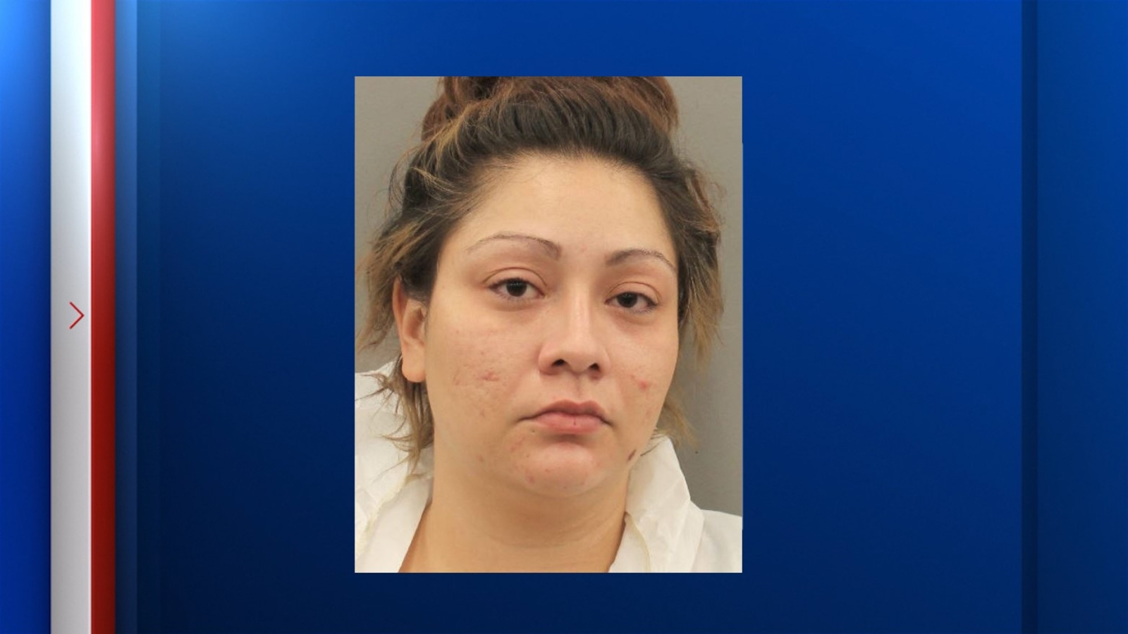 Terri Mendoza killed: NW Houston murder victim's daughter Ericka McDonald takes plea deal, sentenced to 30 years - Vimarsana News