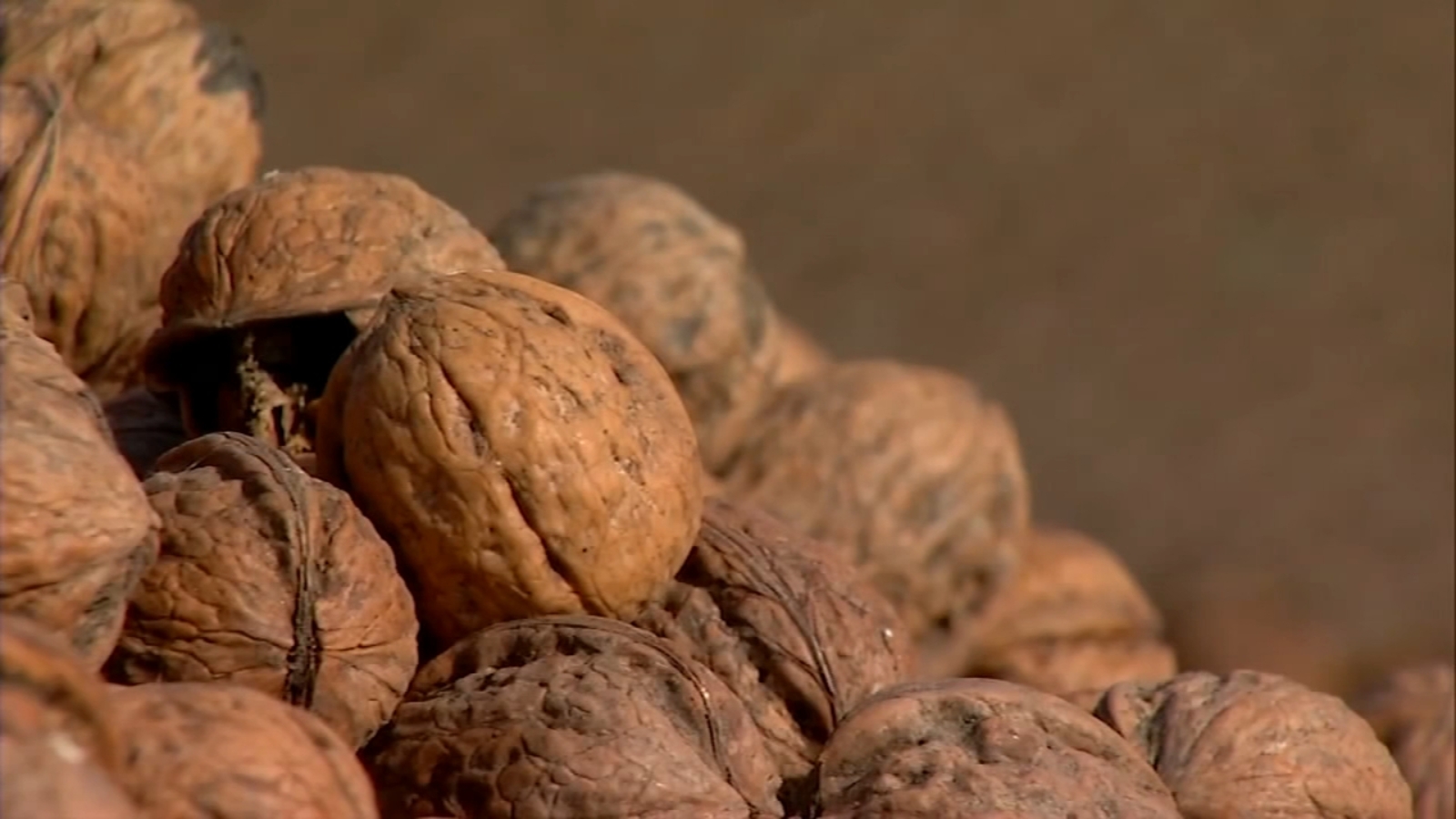 Cash selling season for walnuts kicks off in Tulare County ABC30 Fresno