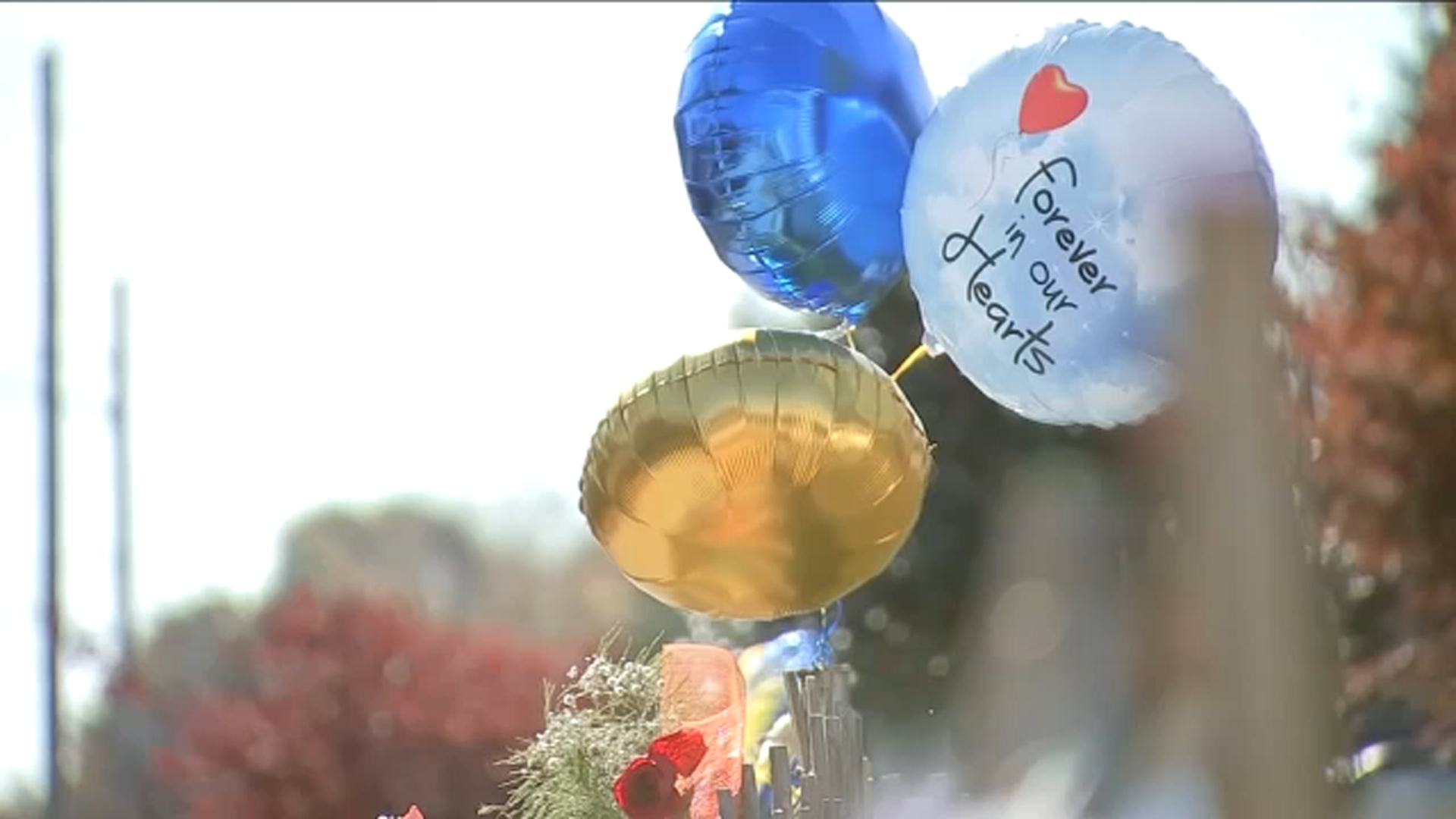 Community raillies after two brothers killed in fire