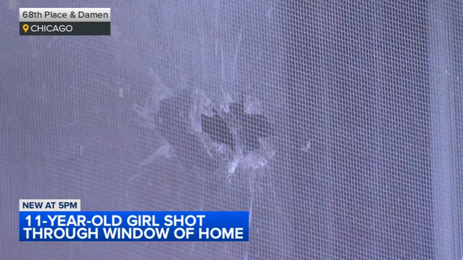Chicago shooting: West Englewood neighbor shoots Deajah Blizzard, 11, through window on West 68th Place, brother says - Vimarsana News