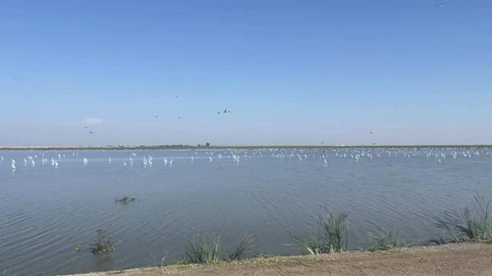 Agencies gearing up for wet weather after year of historic rainfall in