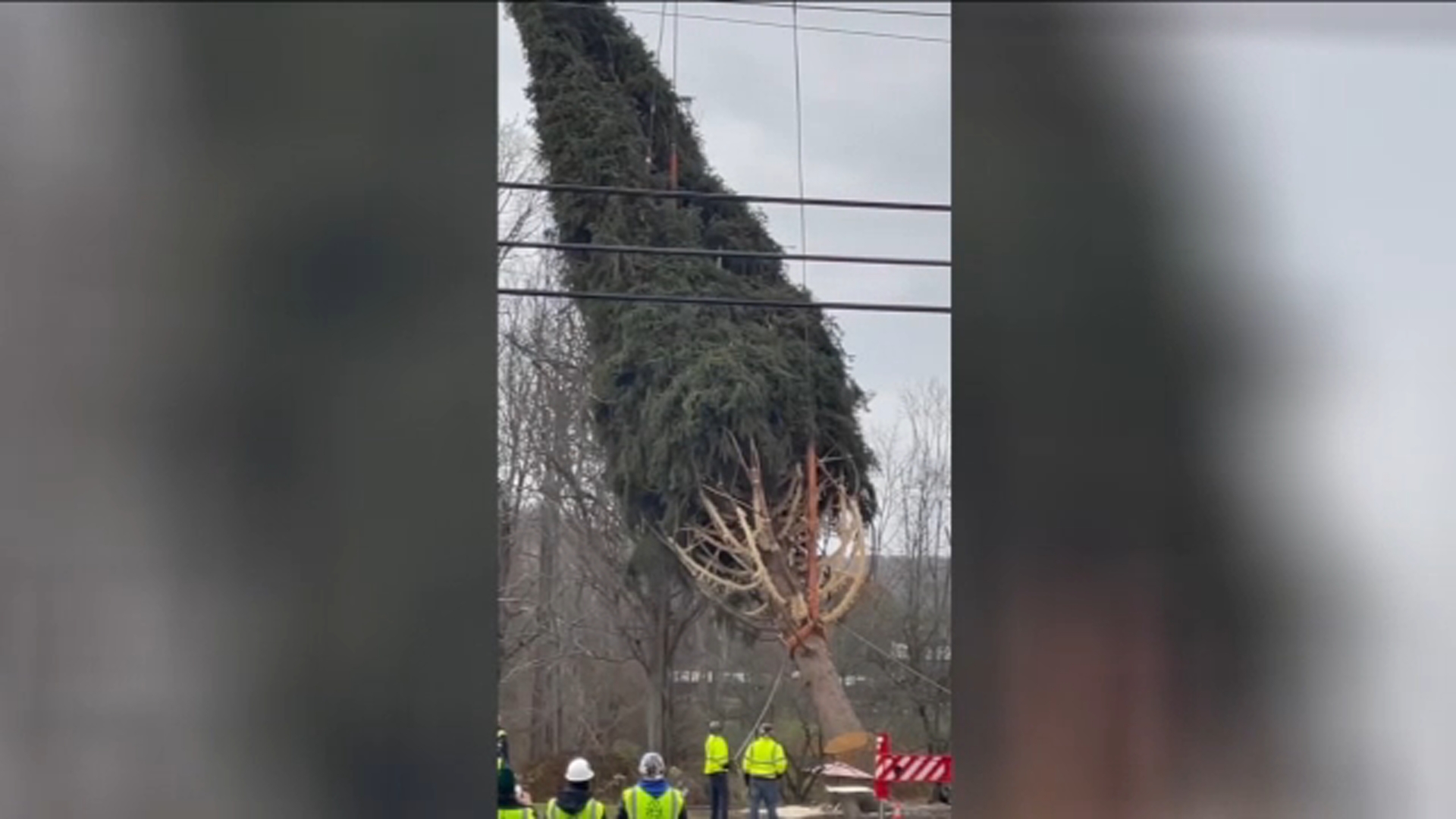 Rockefeller Center Christmas Tree heading to NYC