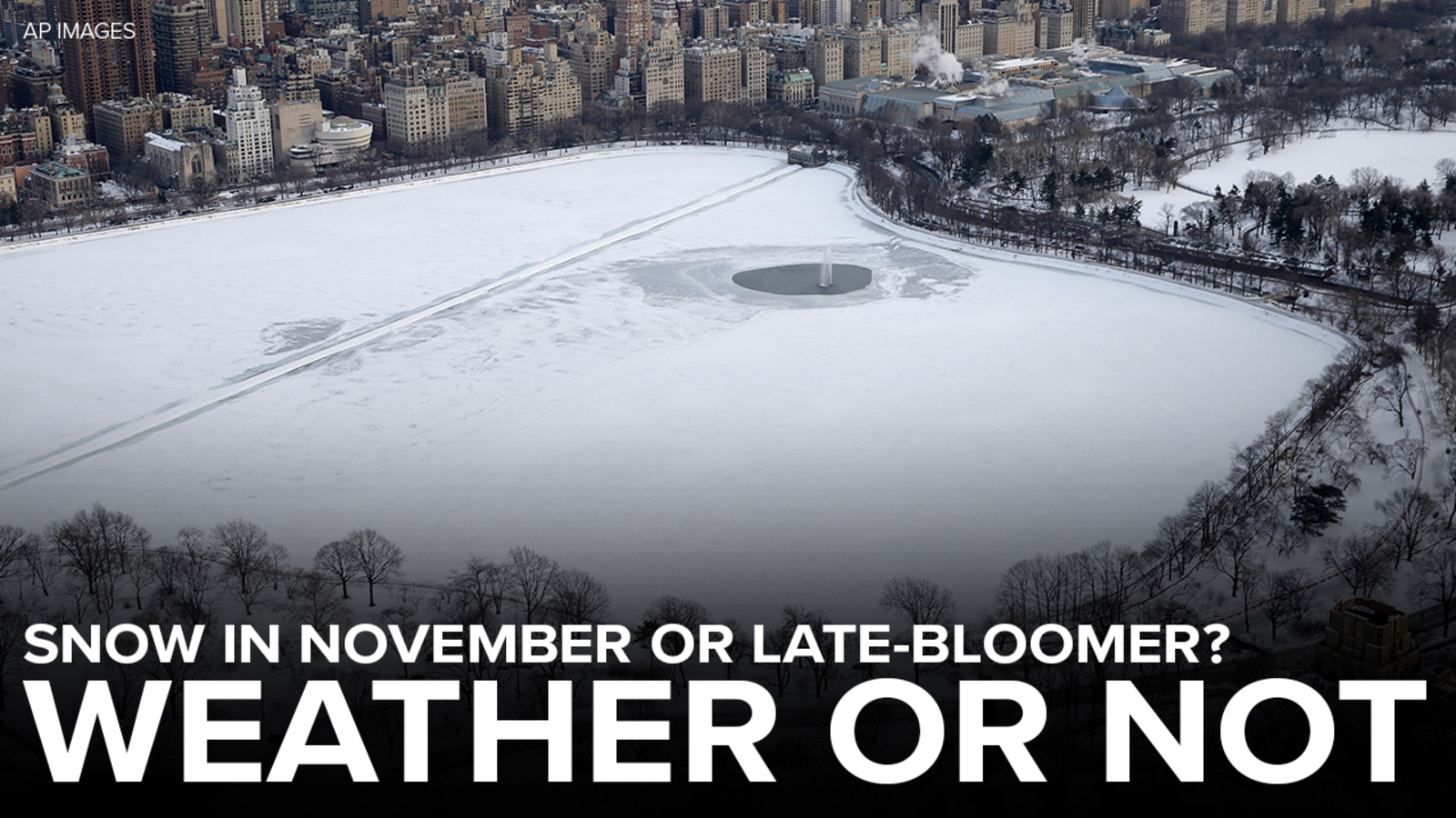 Weather or Not Snow in November or latebloomer winter? ABC7 New York