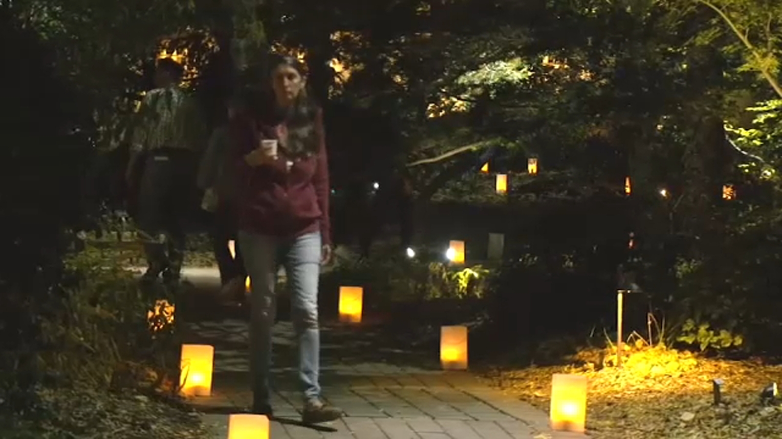 Moonlight in the Garden event underway at JC Raulston Arboretum - Vimarsana News