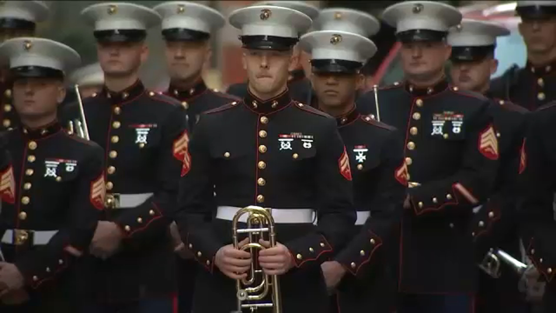 New York City Veterans Day Parade honors those who served