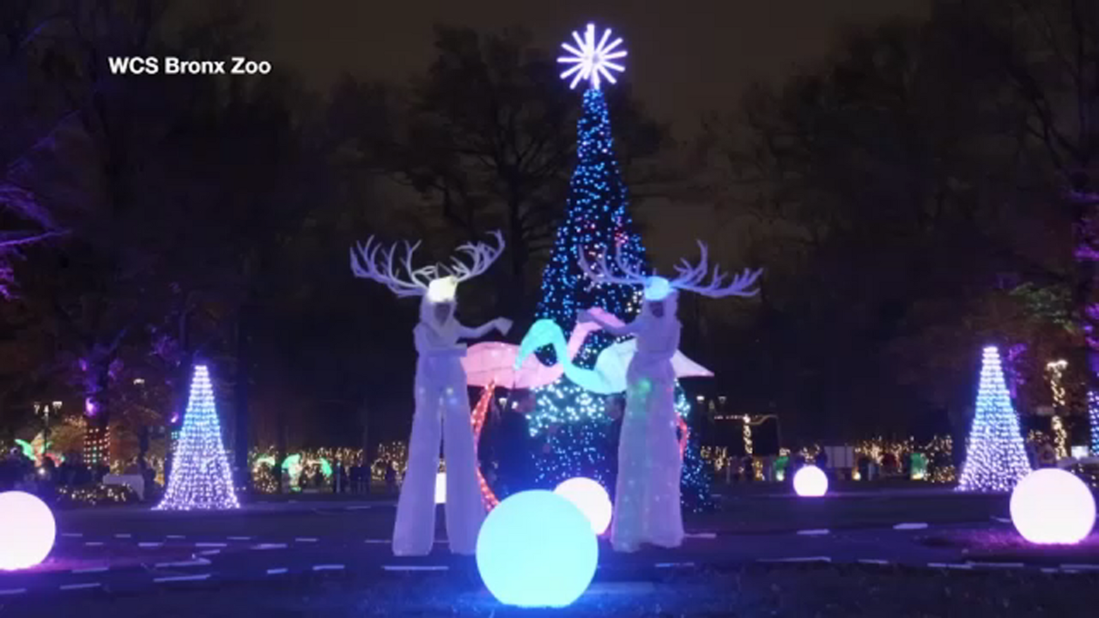 Bronx Zoo kicks gets families in the holiday spirit with Holiday Lights Bronx Zoo kicks gets families in the holiday spirit with Holiday Lights