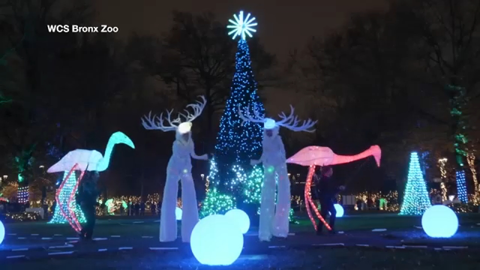 NYC Bronx Zoo filled with holiday spirit as it kicks off 'Holiday Lights' event - Vimarsana News
