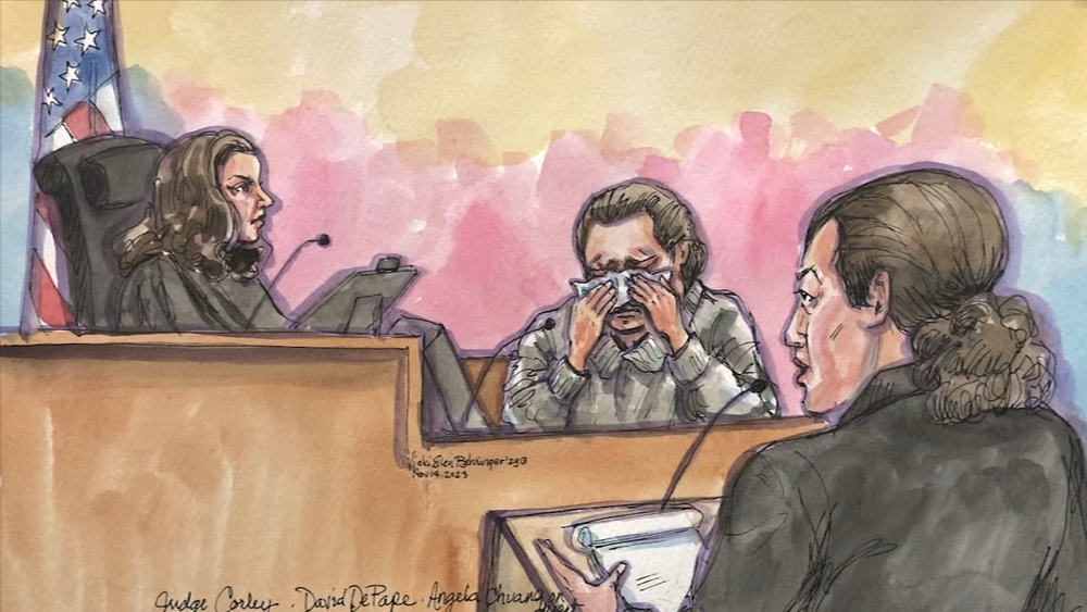 Man accused of attacking Paul Pelosi breaks out in tears during trial