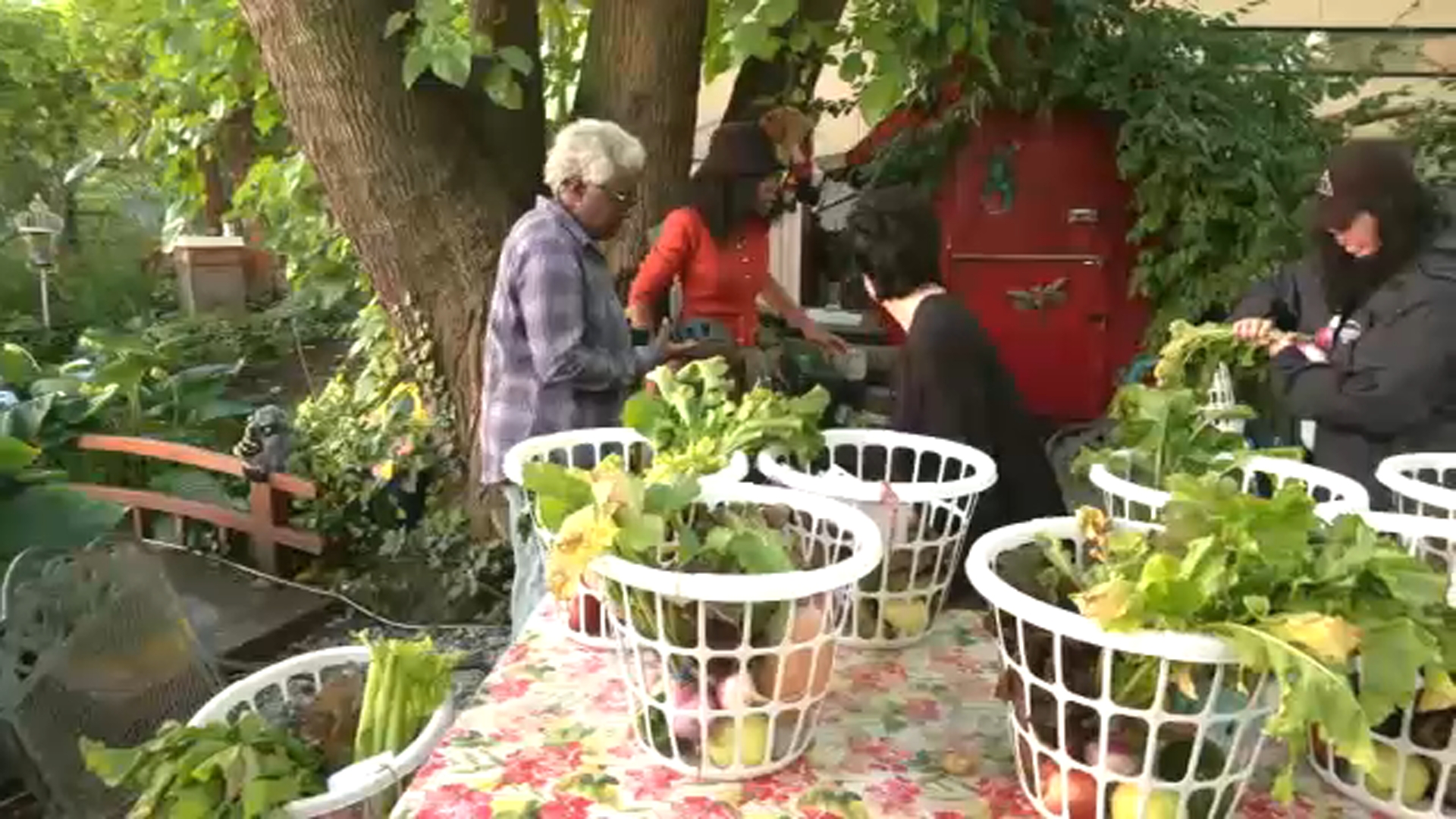 Just Food partners with farmers to fight food insecurity
