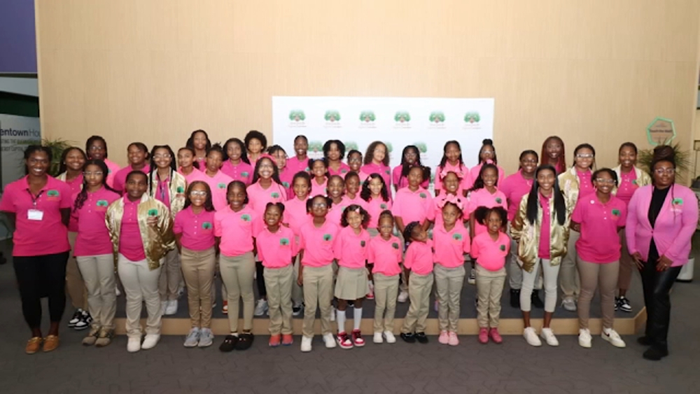 Houston engineer bridges gap for Black girls to enter STEM fields