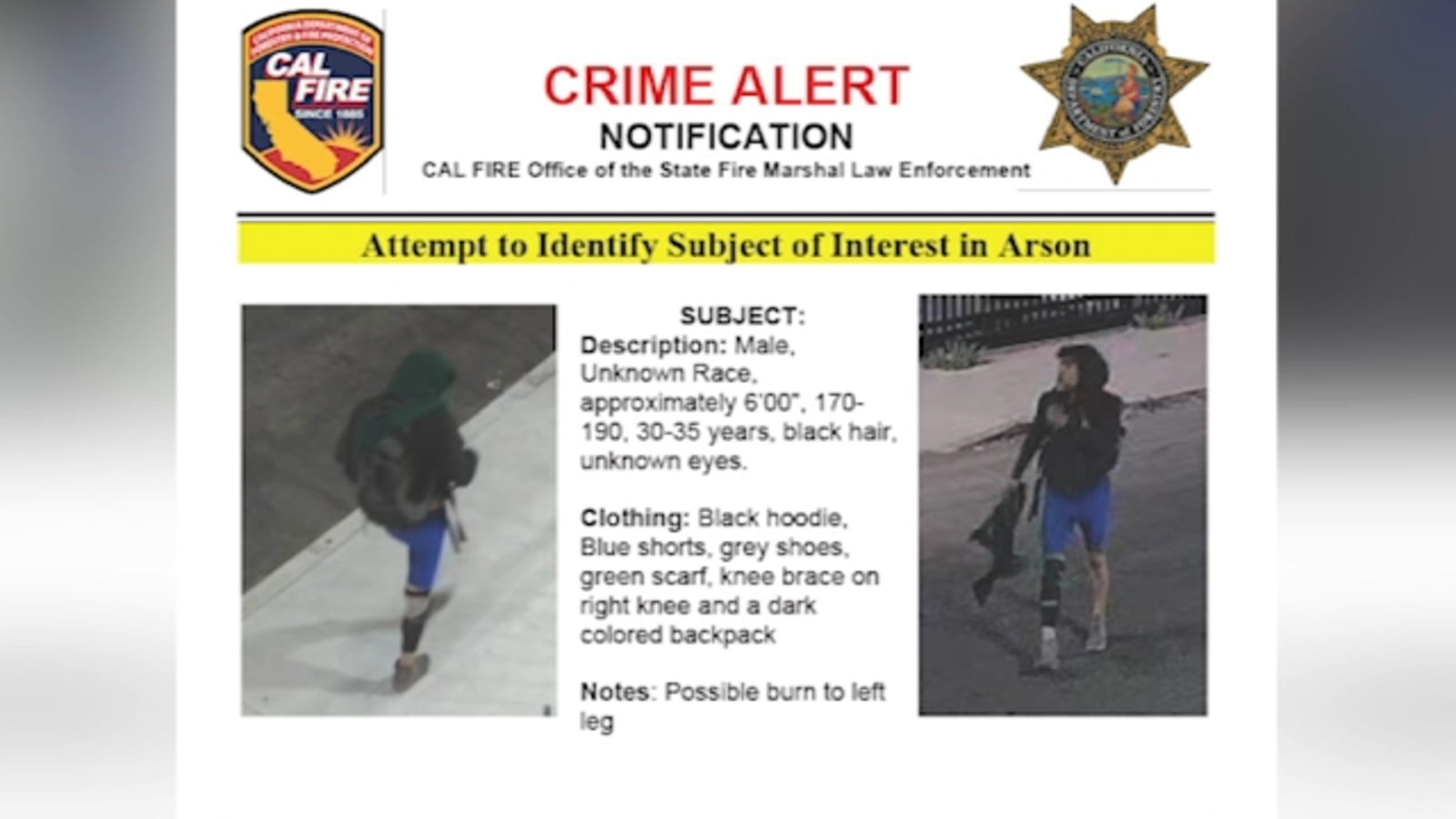 10 Freeway fire: Cal Fire releases photos, description of person of interest in downtown LA arson - Vimarsana News