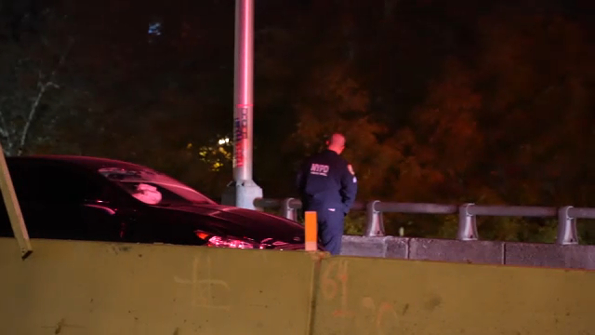 Woman fatally struck while checking on car on expressway
