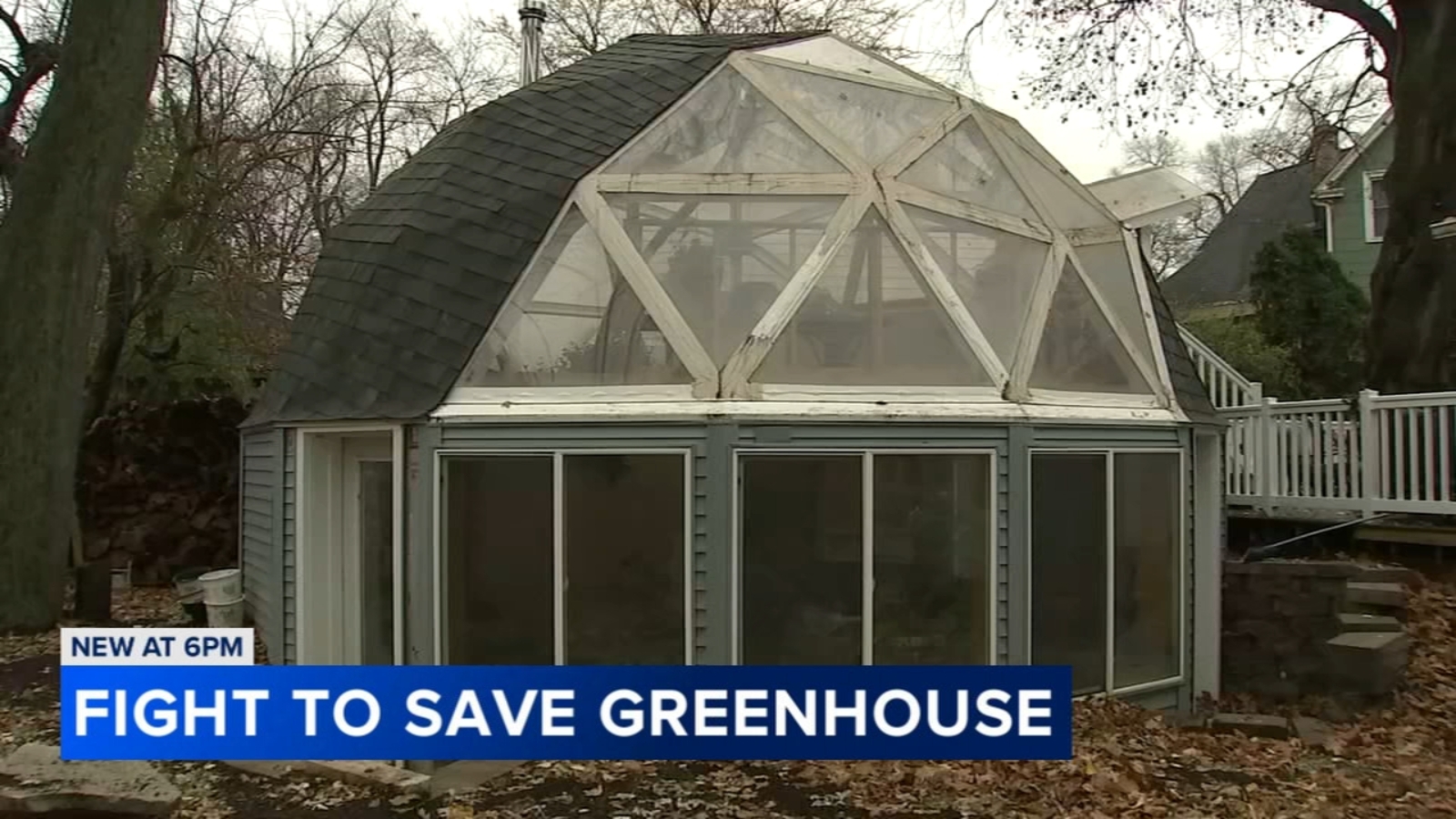 Dan, Jody Bovey working to save West Chicago, IL backyard greenhouse