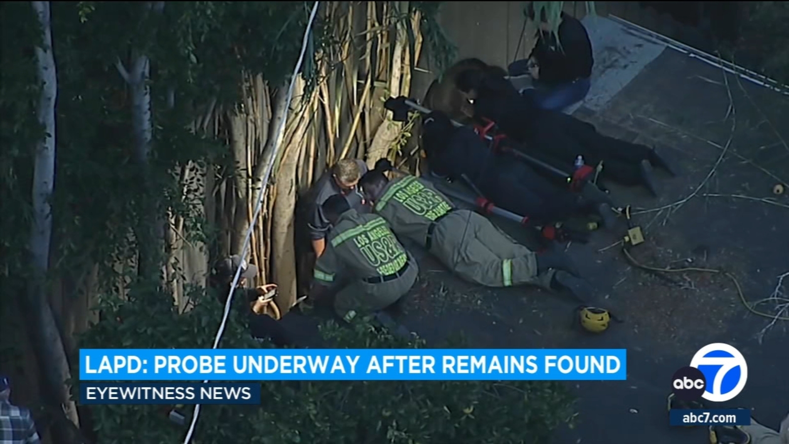 Remains found in North Hills home linked to missing person case - Vimarsana News