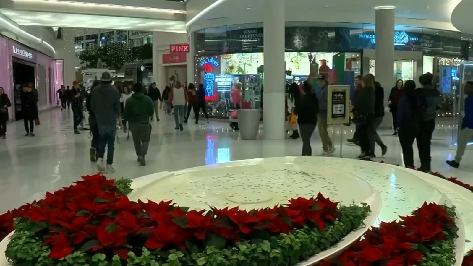 Travel expected to hit record levels as Thanksgiving rush begins - Vimarsana News
