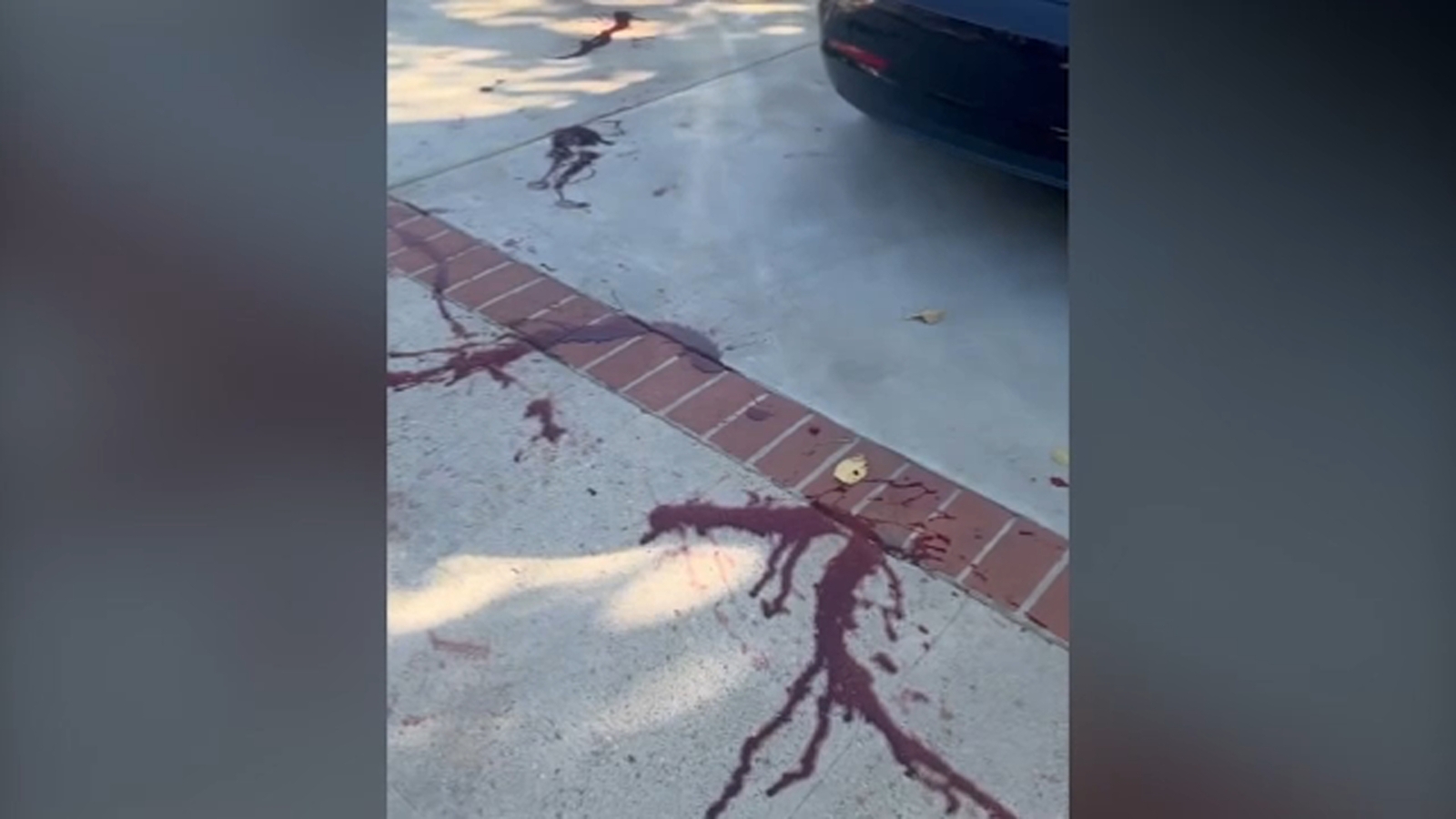 Pro-Palestinian protestors ignite smoke bombs, throw fake blood outside Jewish family's Brentwood home - Vimarsana News