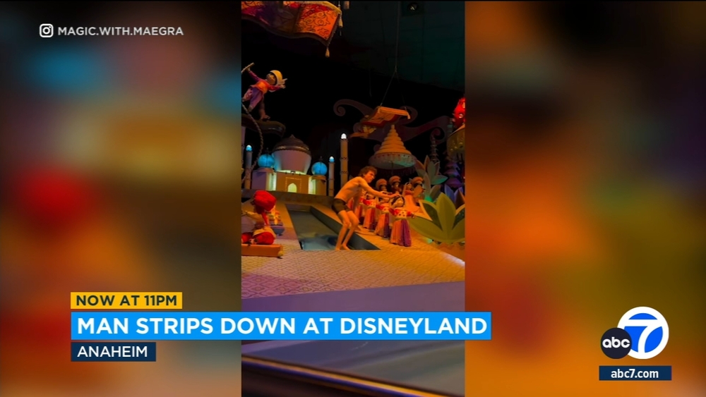 Man arrested after going naked at Disneyland