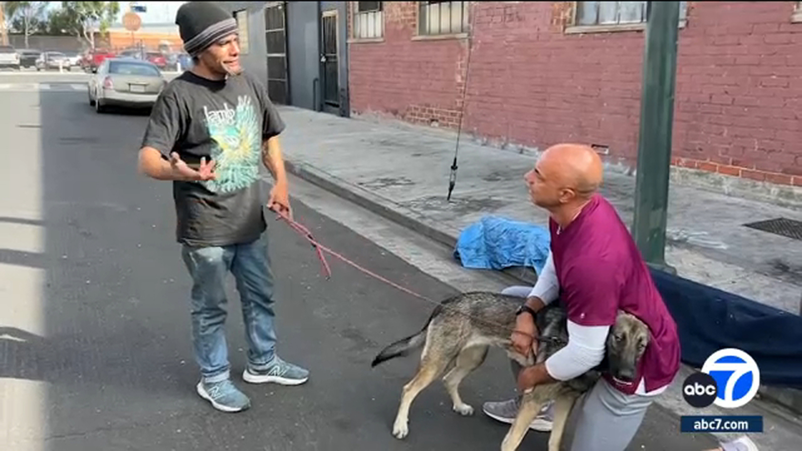 Veterinarian volunteers time, medication, food to help animals living on LA's Skid Row - Vimarsana News
