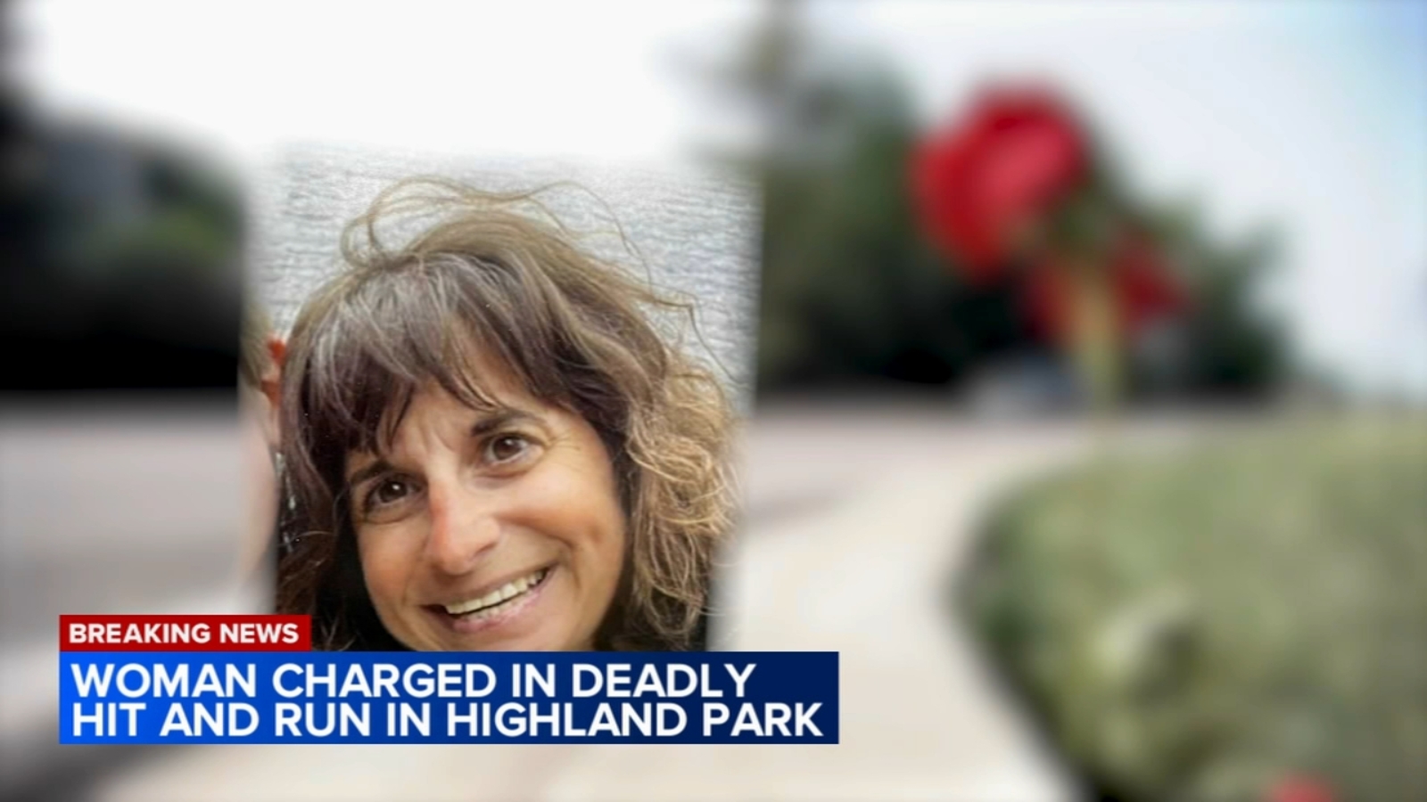 Mundelein woman arrested for June Highland Park hit-and-run crash that killed Deerfield bicyclist Maureen Wener, police say - Vimarsana News