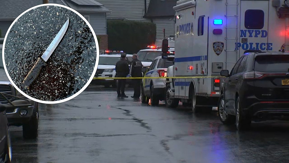 4 fatally stabbed, including 11-year-old and 12-year-old: police 