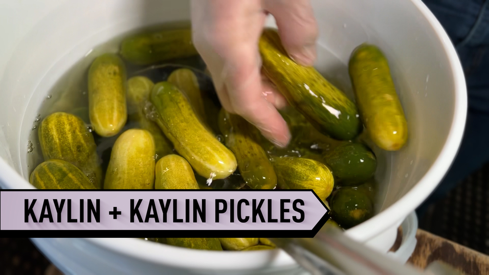 Pickle startup makes crunchy profits from unique pickle bar concept