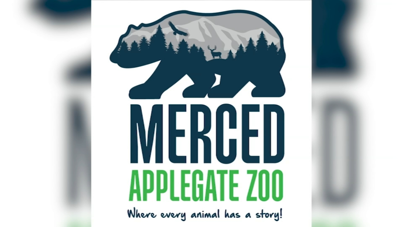 Applegate Zoo in Merced getting new logo, more projects proposed - Vimarsana News