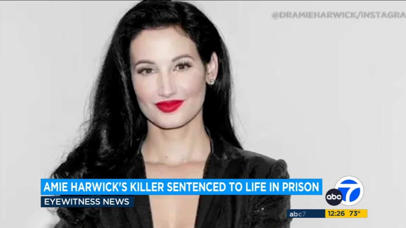 Amie Harwick murder: Gareth Pursehouse sentenced to life in prison for killing sex therapist in Hollywood Hills - Vimarsana News