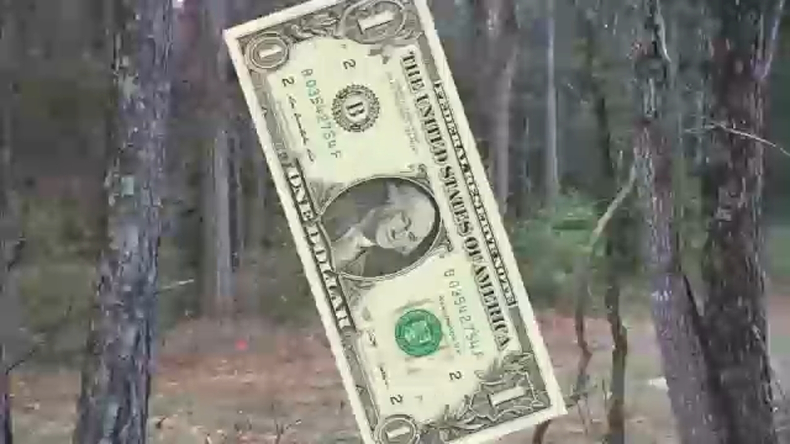 Affordable Housing on one dollar land NC Habitat for Humanity buys