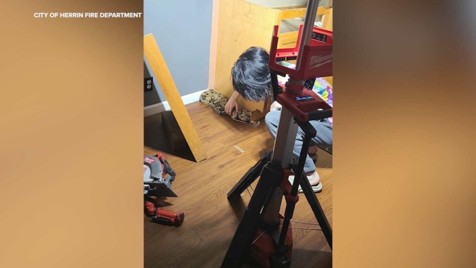 Pet snake in wall: 6-foot pet Boa constrictor trapped inside wall of Herrin, Illinois home rescued by firefighters - Vimarsana News