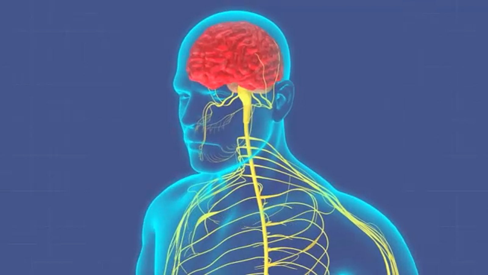 What is POTS? A look at the serious lingering effect of COVID that