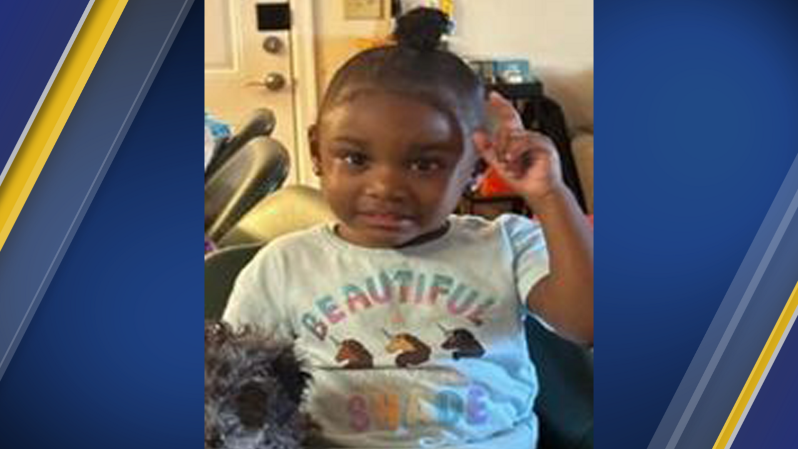 AMBER ALERT NC State Highway Patrol searching for missing 2-year-old girl | Zuri Dorsey - Vimarsana News