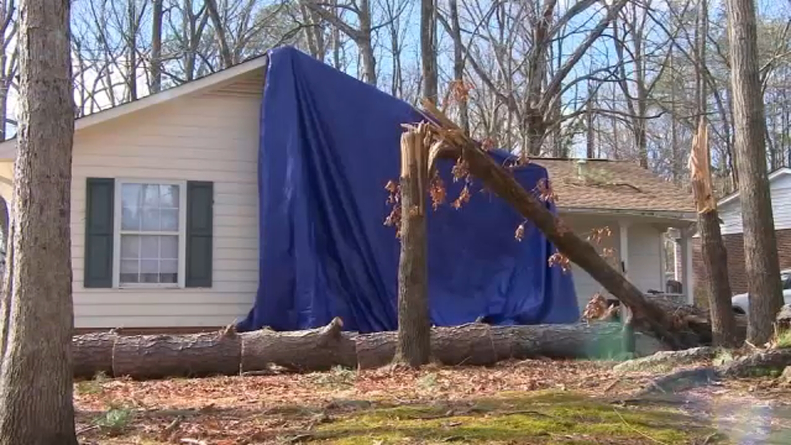 Tornado survivors NC | Close call for Garner family sheltering in bathroom as EF-1 tornado hits, drops tree onto house - Vimarsana News