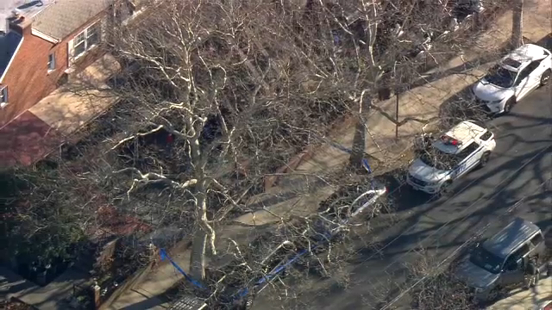 Woman shot by stray bullet in Brooklyn home