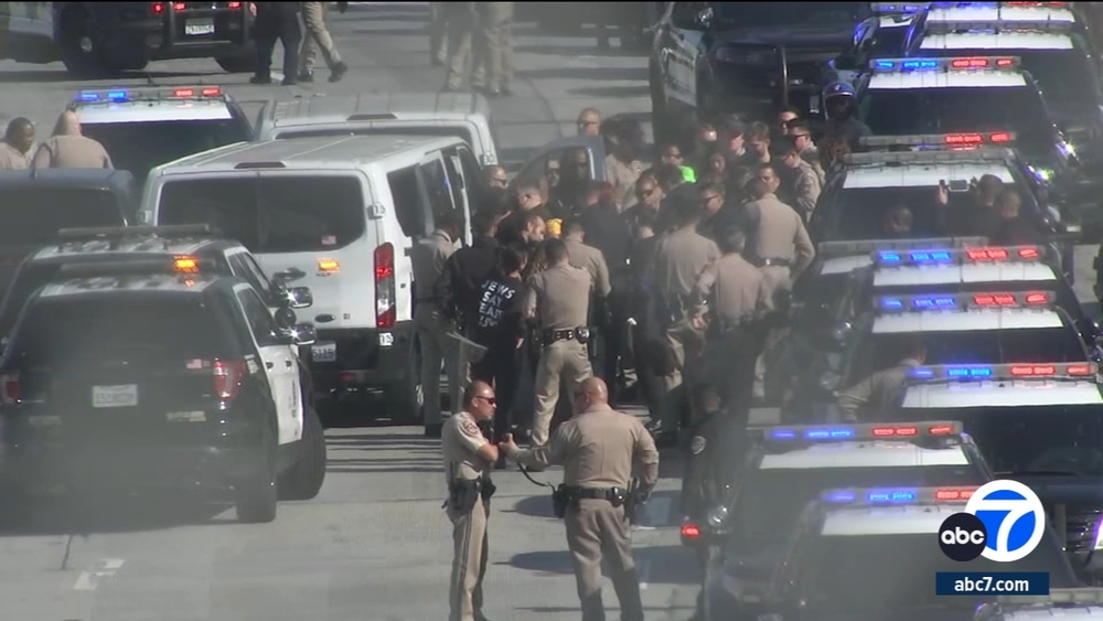 Protesters calling for cease-fire in Gaza shut down SB 110 Fwy in LA