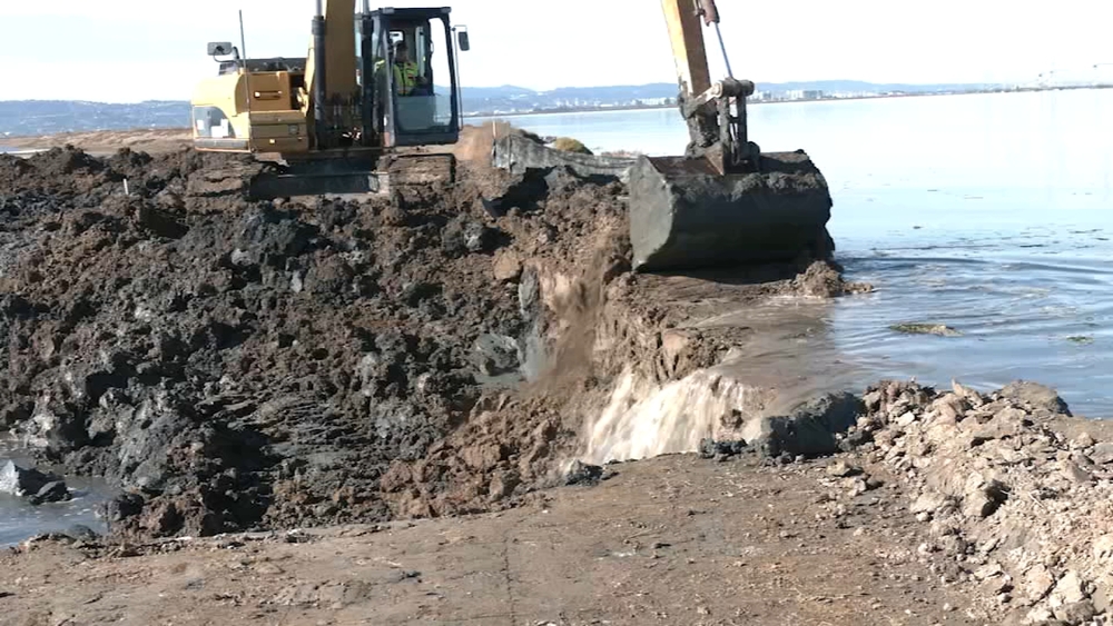 Levee breach creates new tidal marsh in SF Bay