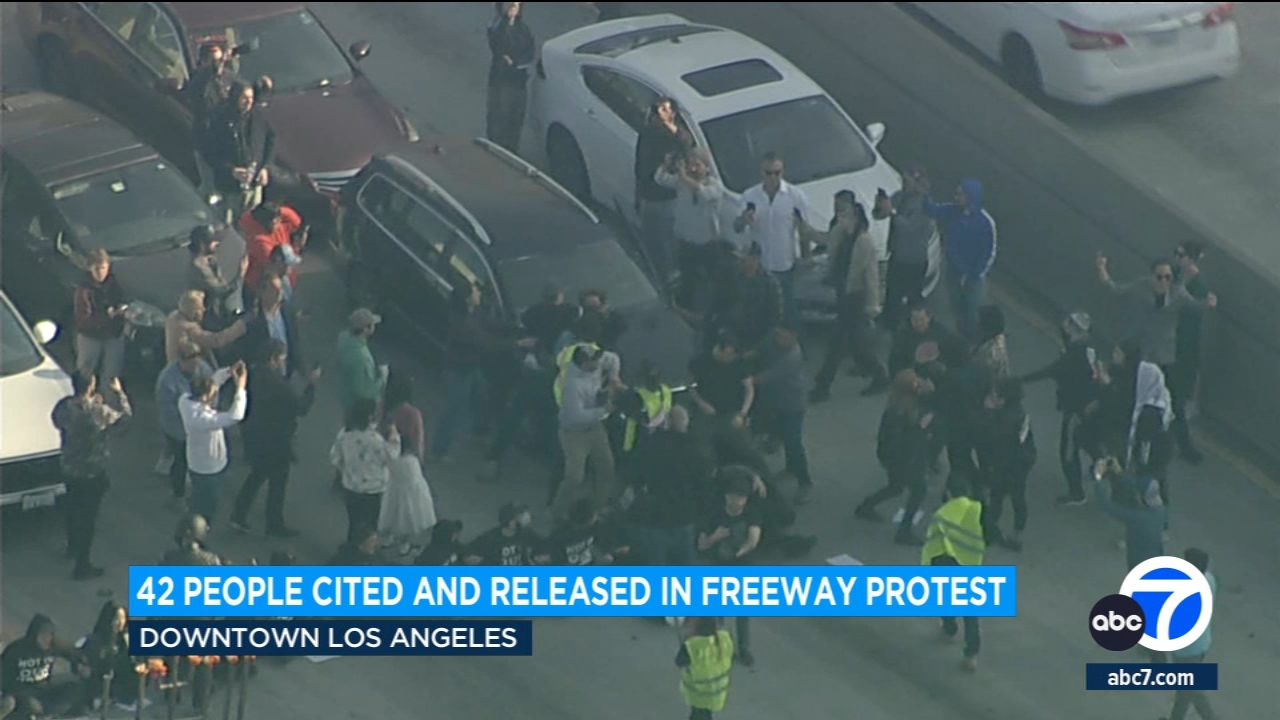 42 people arrested in Gaza cease-fire protest on 110 Freeway