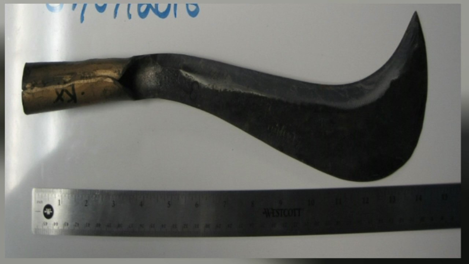 Machete confiscated by TSA at O'Hare Airport ABC7 Chicago