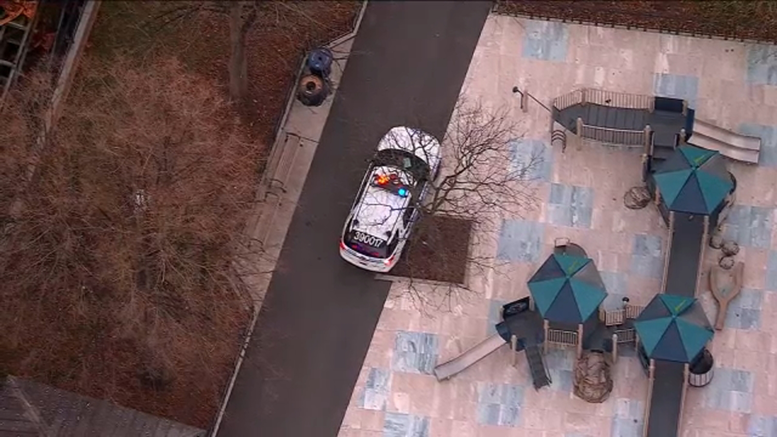 Police investigating stabbing at Ravenswood Playground in Astoria, Queens - Vimarsana News