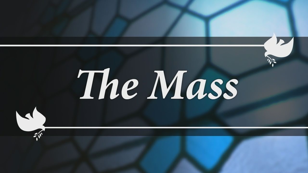Archbishop Nelson Perez celebrates Mass on the Fourth Sunday of Advent