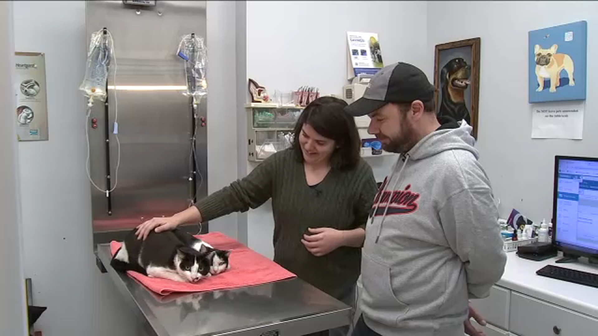 2 cats recovering after surviving massive apartment fire in Queens