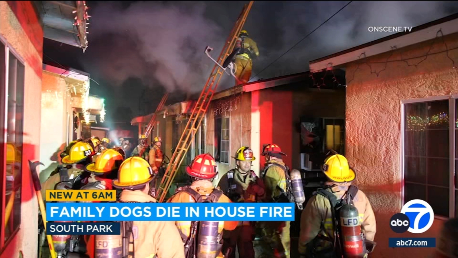 South Park family's 2 dogs killed in early morning house fire on ...