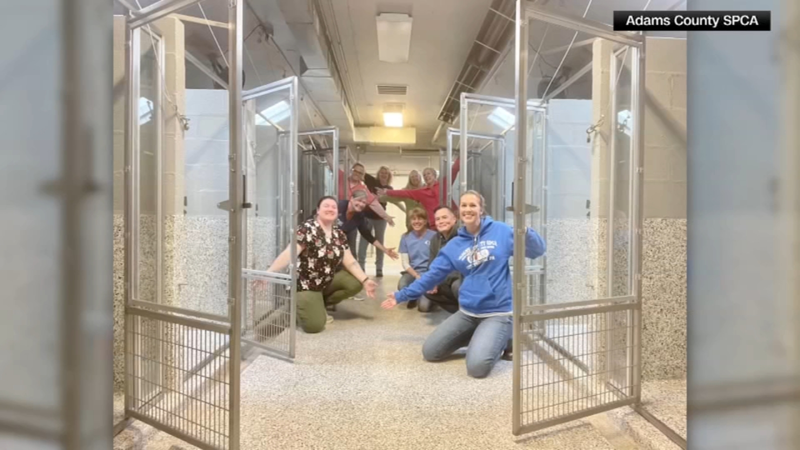 For the first time in nearly 50 years, a Pennsylvania animal shelter