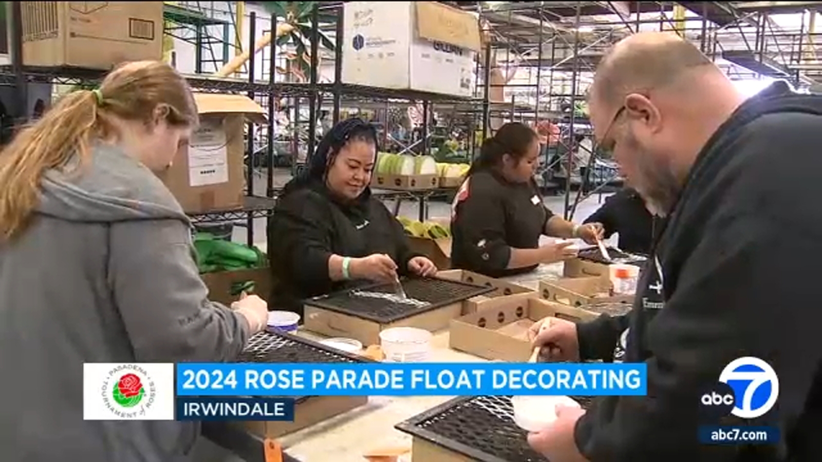 Rose Parade: Volunteers hard at work putting finishing touches on floats - Vimarsana News