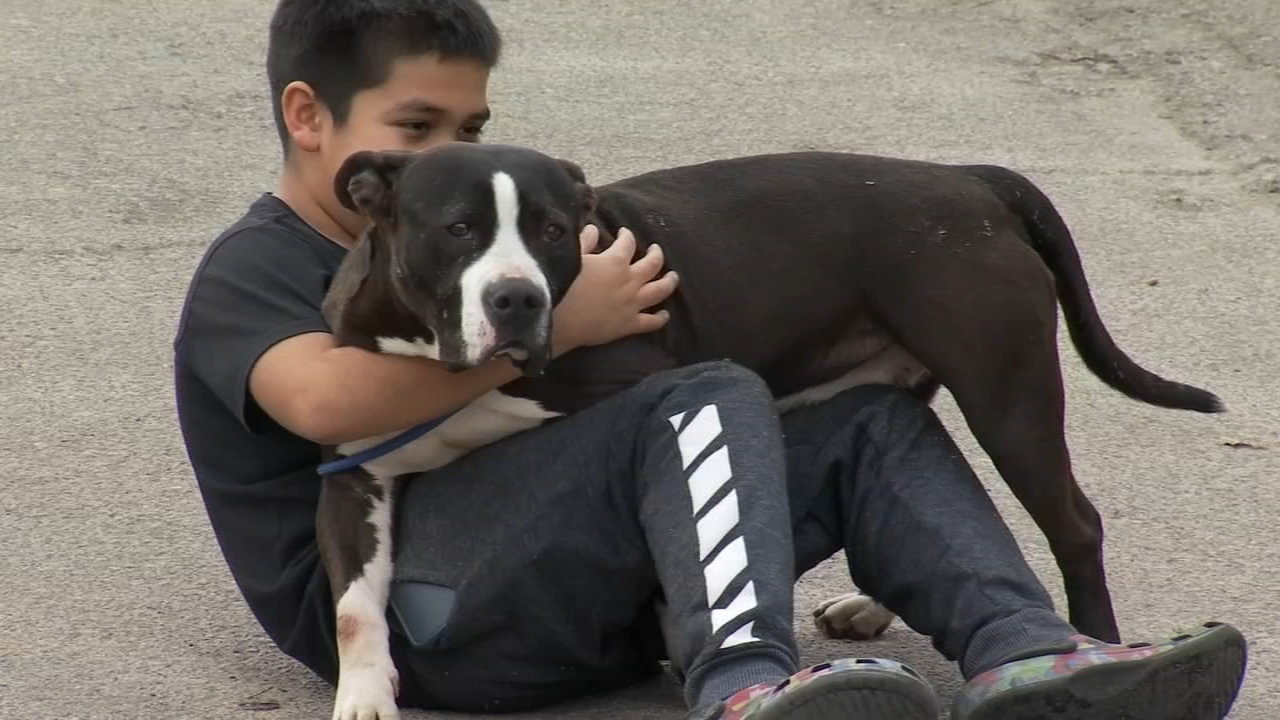 Selma's Second Chance Animal Shelter set to close in 4 days