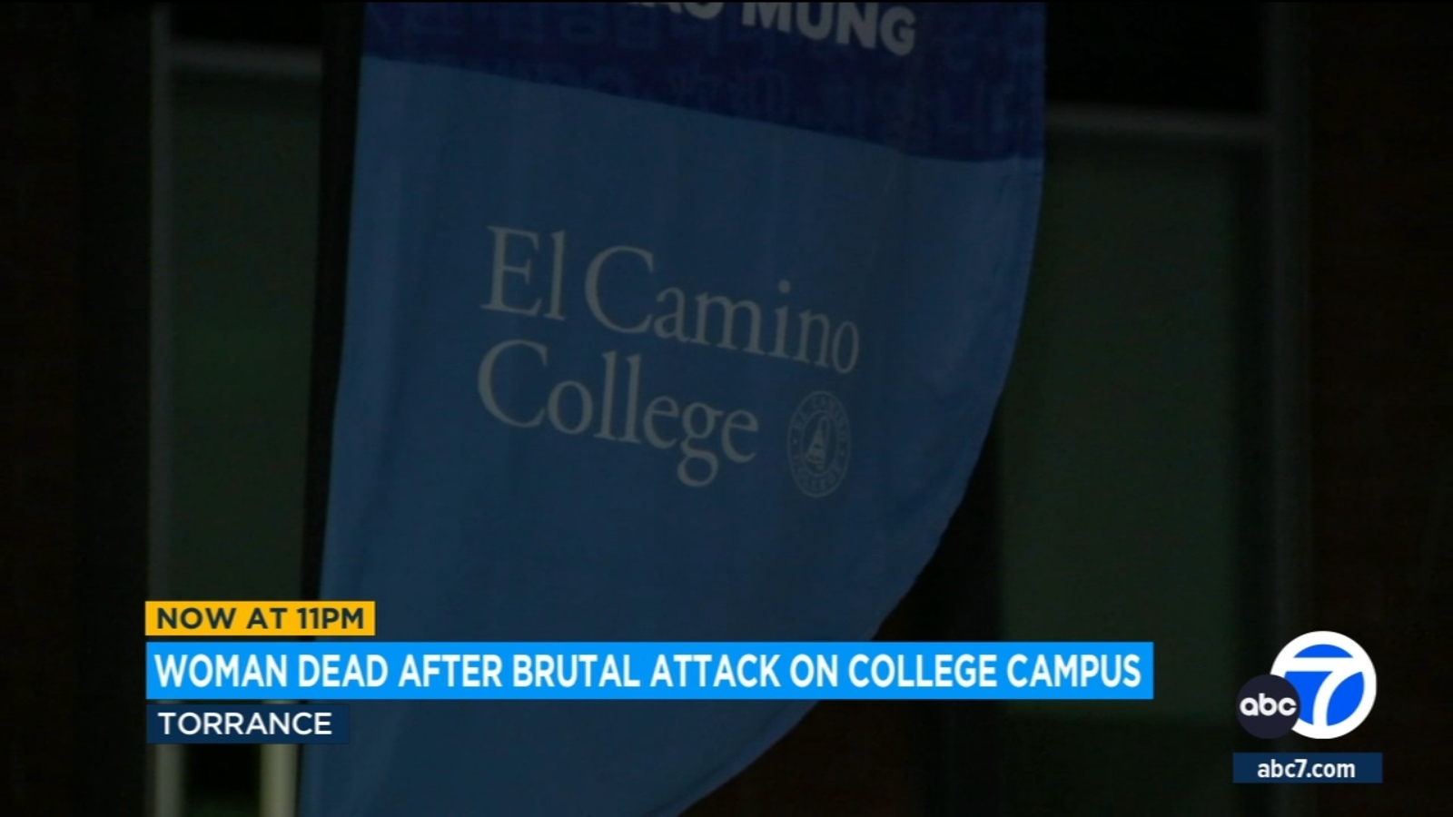 Woman killed with sledgehammer at El Camino College in Torrance; suspect arrested - Vimarsana News