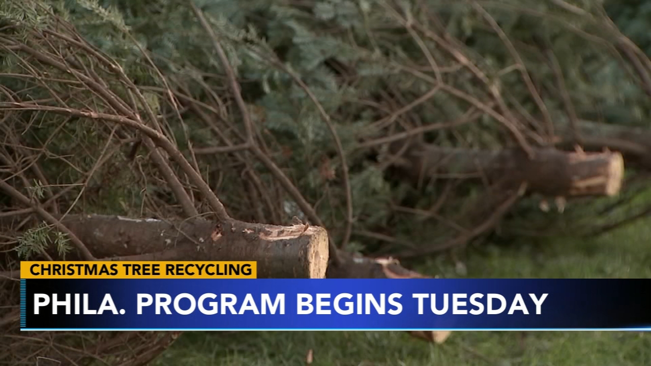 Philadelphia Chritsmas tree recycling program 2024