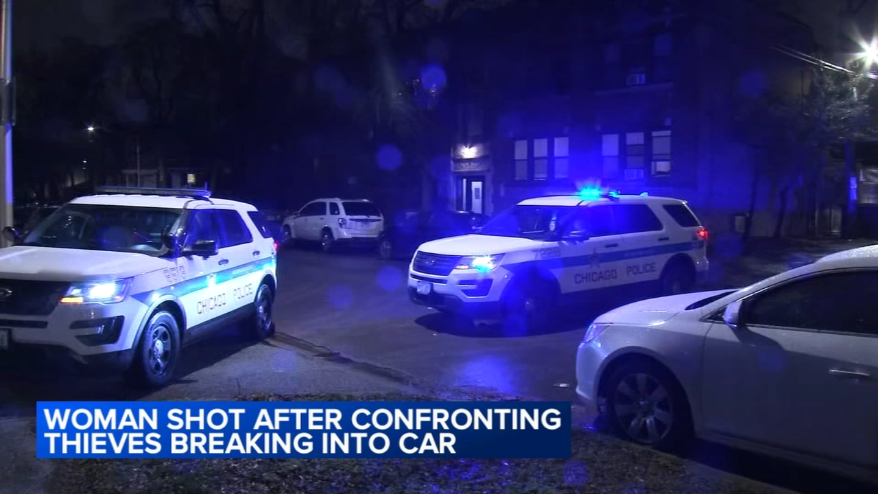 Woman shot after confronting car thieves