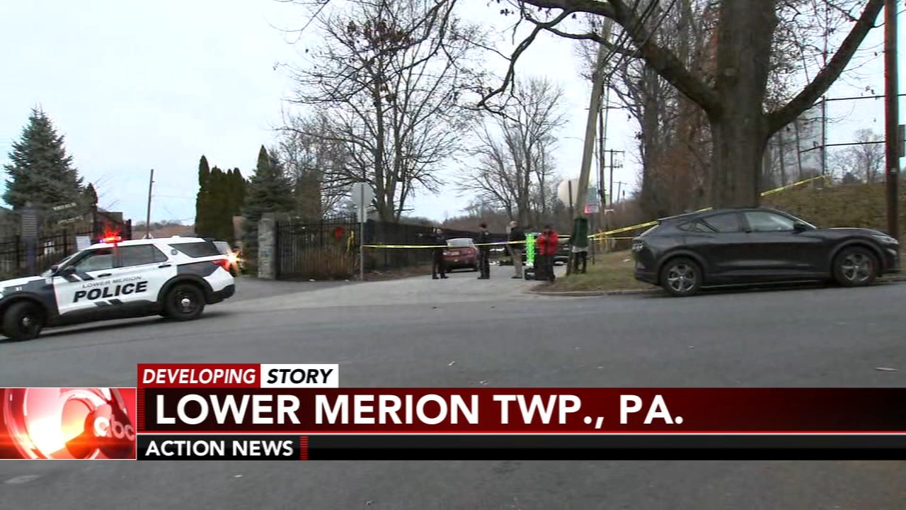 Multiple people hurt, pregnant woman killed after being hit by car